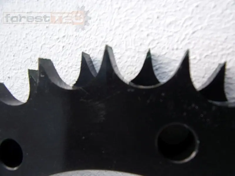 'Bild zu MEBM000983'